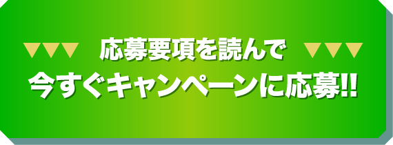 今すぐエントリーする!!